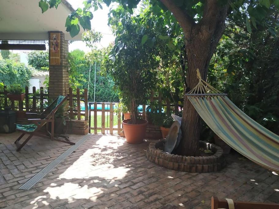 Dormir Entre Limones, Casa De Invitados En Vivienda Familiar Dos Hermanas Esterno foto